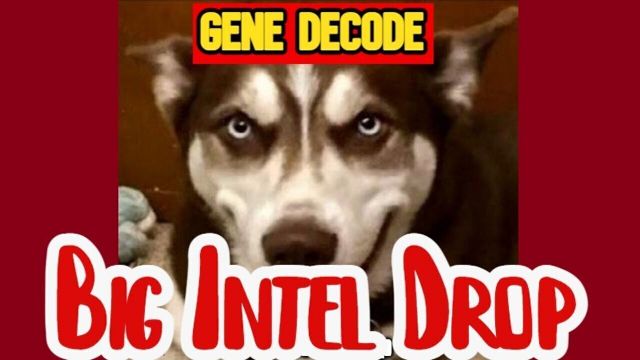 Gene Decode Big Intel 4.8.26 - Final Phase Begins; Tribunals, GITMO Trains