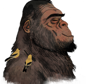 Washington State Olympic Peninsula Bigfoot Like Entity Without a Heat Signature, Audio Recordings/EVP's...   "Olympic Strange Days... 