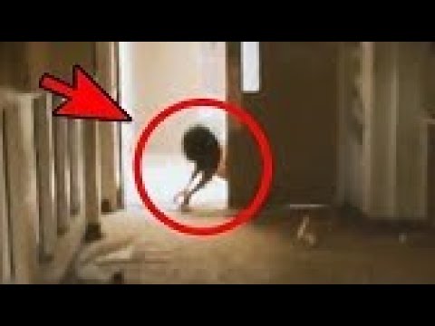 Strange creatures caught on camera in Canada, United States, Brazil, Chile and Argentina