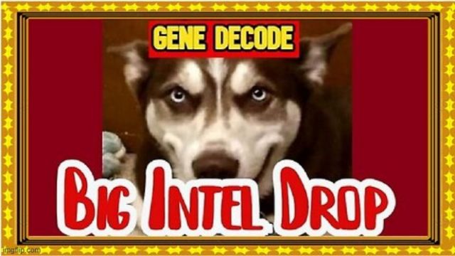 Gene Decode: BIG Intel 1.23.26 - Military Tribunals Begin (Video) 