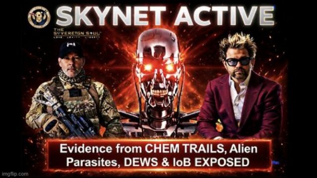 Skynet Active: Defcon 1 - Shocking Evidence From Chemtrails, Alien Parasites & Lob Exposed (Video)