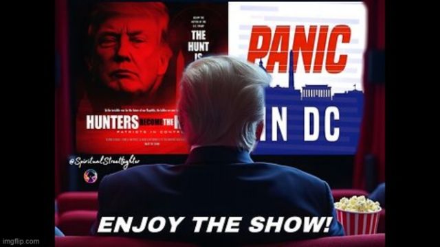 3 Movies Playing Simultaneously? Panic, IRS/Banking Cartel Collapse, Military Only Way (Video) 