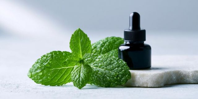 What Is Pure Peppermint Oil?