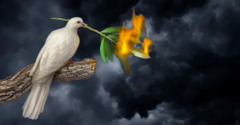 image A dove with twig in its beak, whose leaves are burning.