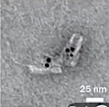 image nanorobot