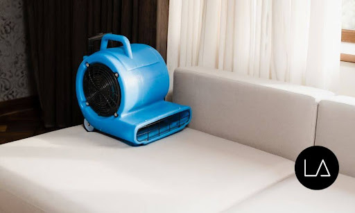What Is the Price Range for Air Movers?