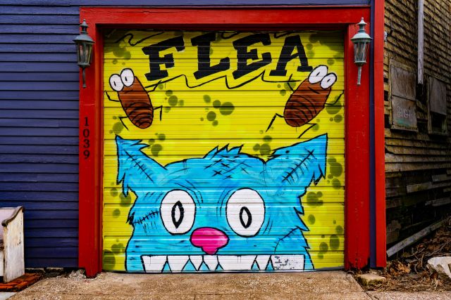 How Regular Flea Treatment Supports Long-Term Pet Health