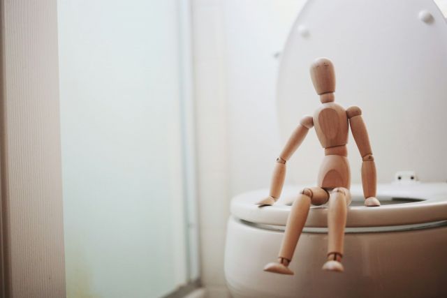 The Panic Button: Common Reasons Your Toilet Won’t Flush and When to Call for Help