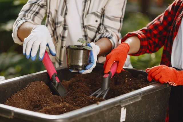 5 Common Mistakes to Avoid When Applying Organic Garden Fertilizer