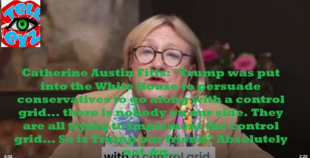 Catherine Austin Fitts: "Trump was put into the White House....  !!!! DANGEROUS INTEL  !!!!