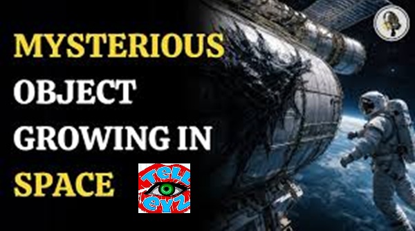 STRANGE OBJECT FOUND  !!!!  ISS REVEALED TRUTH  !!!!