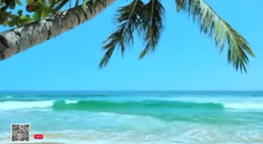 Healing Frequencies Live 24-7 Healing from Cancer and EMF