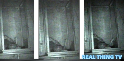Creepy haunted puppet moving on its own inside a sealed glass container in the middle of the night