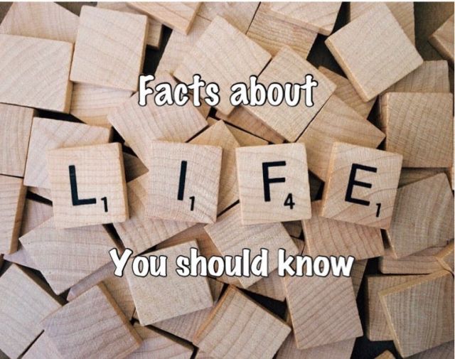 3 Facts of Life
