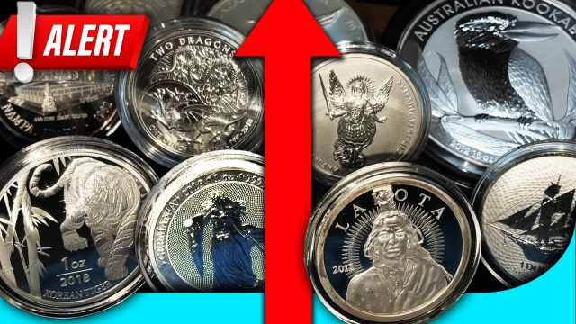 How to grow clove plant at home | clove gardening | clove plant from seed