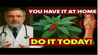 Doctors Shocked: This Plant Rebuilds Muscle & Cleans Arteries Naturally