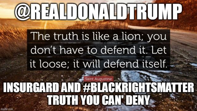 @realDonaldTrump #BLACKRIGHTSMATTER IS WATCHING YOU, LET THE CONSTITUTION AND YOUR WISDOM BE YOUR COMPASS