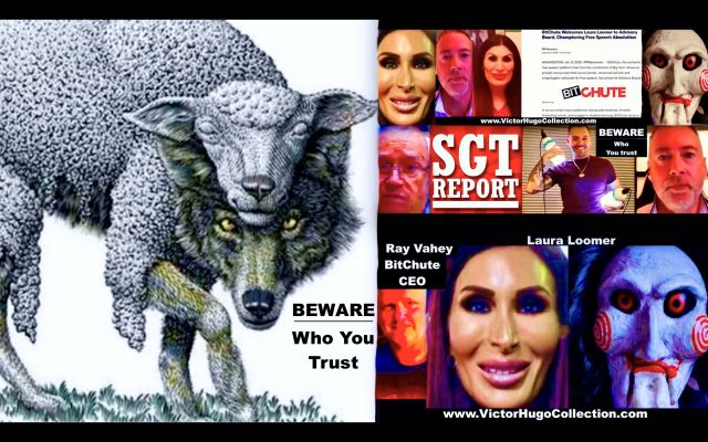 BEWARE WHO YOU TRUST Dollar Vigilante Jeff Berwick SGT Report Max Igan Stew Peters Ray Vahey Laura Loomer Jim Fetzer Expose Controlled Opposition