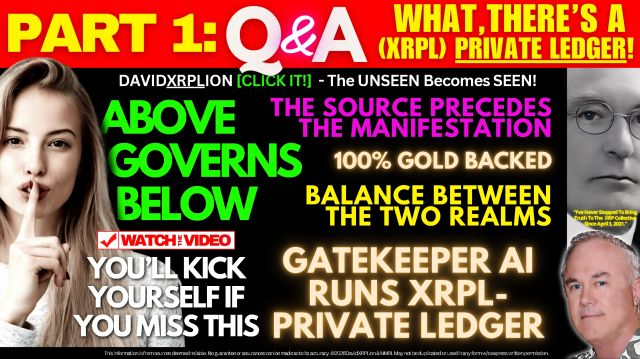 DavidXRPLion™ ~ Super Secret XRPL Private Ledger Being Hidden @2026 - Must Watch Trump News (Video)