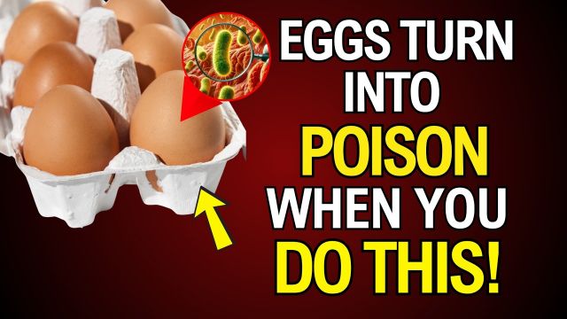 Common Mistakes That Make Eggs Unhealthy (senior health, common mistakes, for the elderly)
