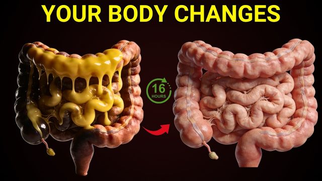 What Happens To Your Body When You Eat Once A Day (Hour By Hour Breakdown)