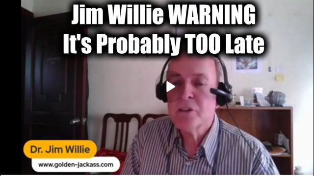 “Dr. Jim Willie’s URGENT Warning: It Might Already Be Too Late—Watch Now Before It’s Gone!”